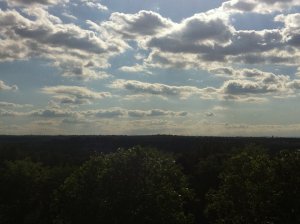 644372_4878400322793_1240503454_n[1]